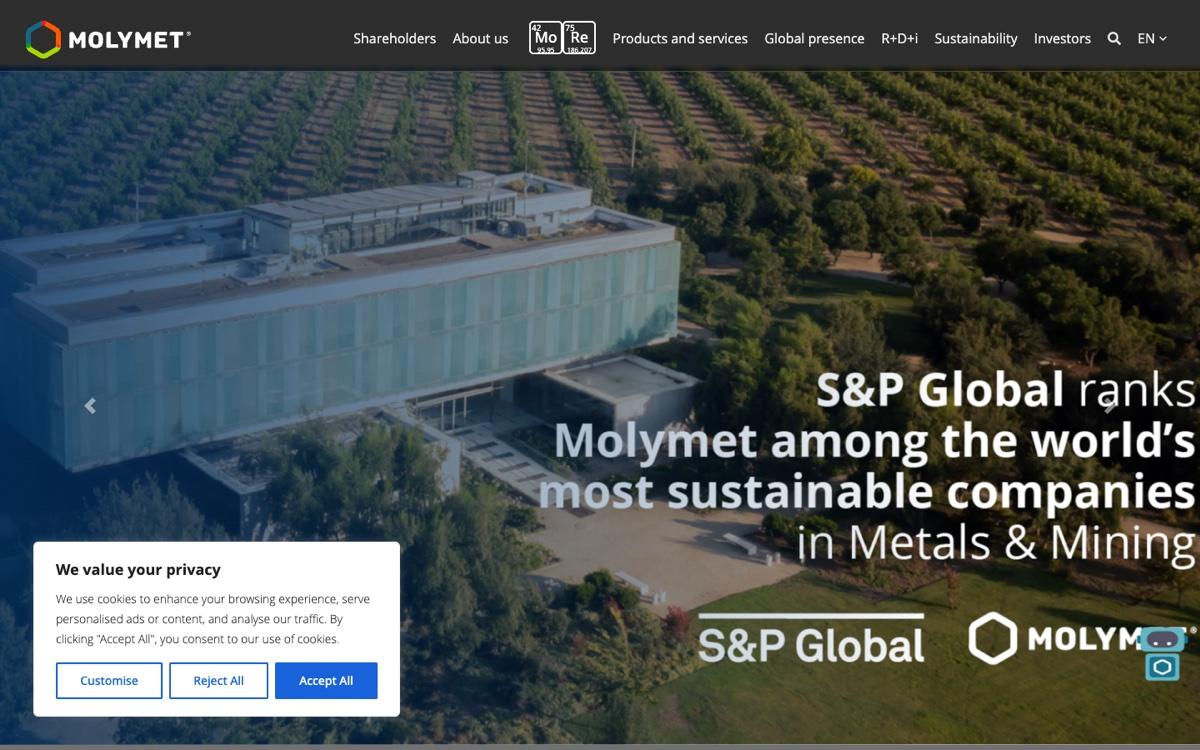 Captura verificada del proyecto Molymet