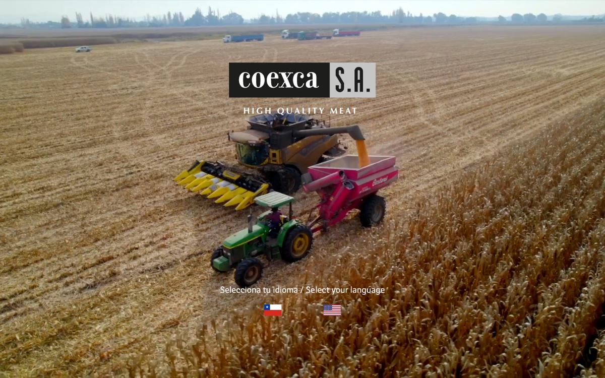 Captura verificada del proyecto Coexca