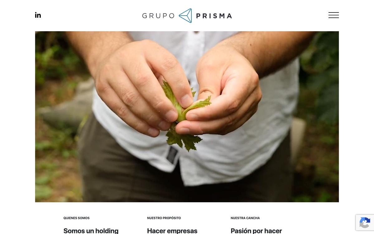Captura verificada del proyecto Grupo Prisma